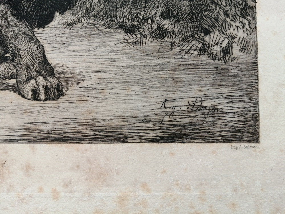 Lançon Lion et lionne de Nubie (1882)