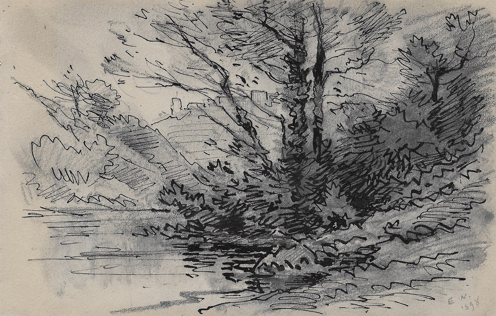 Noirot 111 Arbres au bord de la rivière et ruines Loire 1898