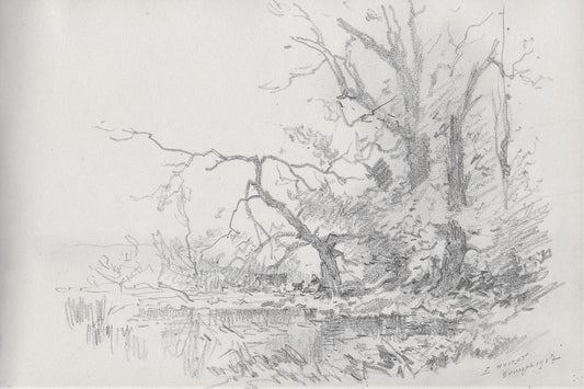 Noirot 18 Mare près du Bourzat (1917) BOURBONNAIS