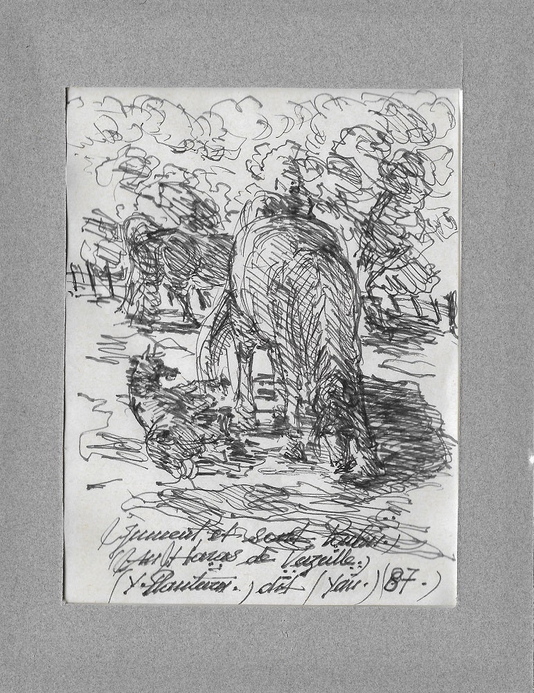 Yan Jument et son Poulain au Haras de Vazeille (1987)