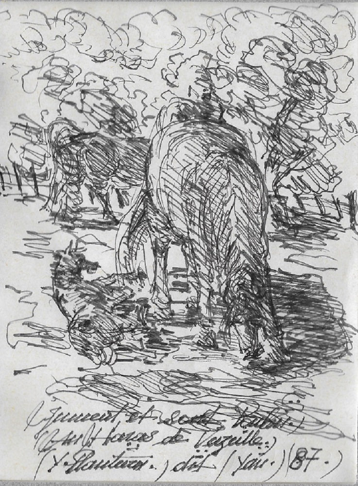 Yan Jument et son Poulain au Haras de Vazeille (1987)