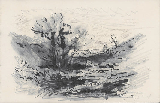Noirot 120 Une Mare dans le roannais (1898) LOIRE