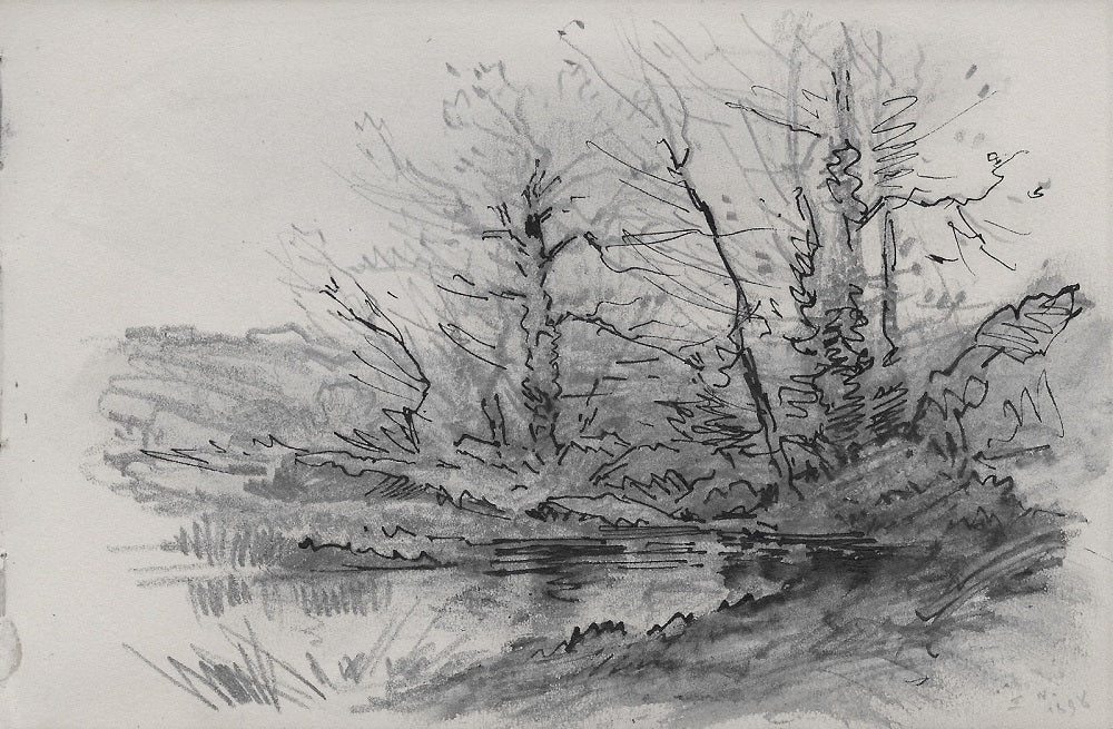 Noirot 103 Arbres derrière une mare (1898)