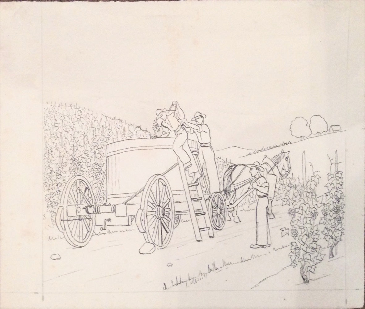 Noyer Scène de vendange DESSIN 20e