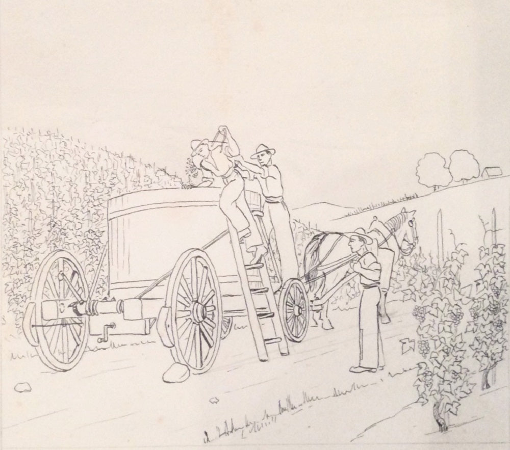 Noyer Scène de vendange DESSIN 20e