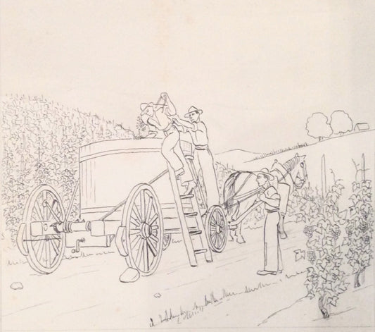Noyer Scène de vendange DESSIN 20e