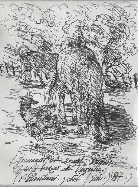 Yan Jument et son Poulain au Haras de Vazeille (1987)