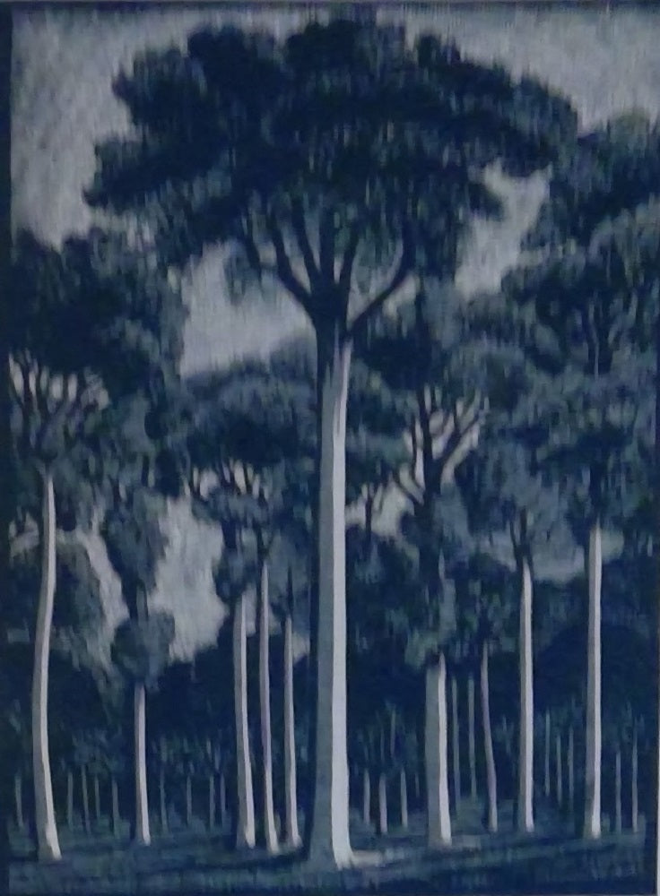 Devaux Chevalier La forêt Tronçais en Bourbonnais (1930)