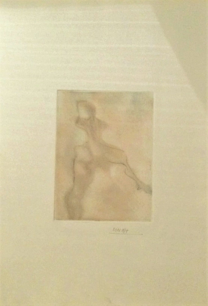 Janoir Le marcheur euphorique (1977)